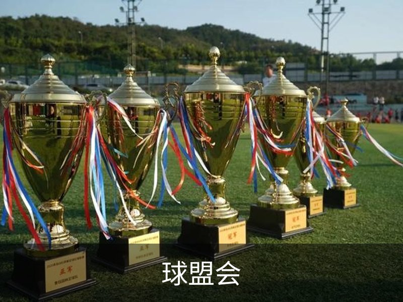 走进球盟会